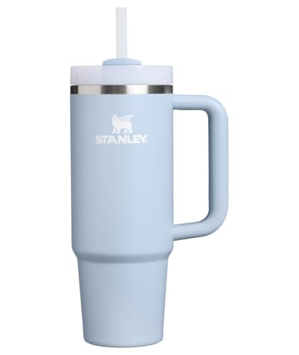 Insulated Stainless Steel Travel Tumbler 30 oz with Handle and Straw