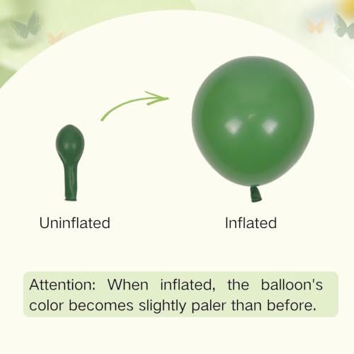 12-Inch Sage Green Balloons with White & Gold Confetti – Pack of 60 (Variation: Green Sand White)
