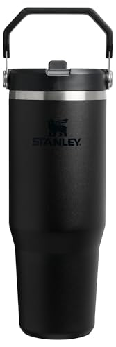 STANLEY IceFlow 2.0 Flip Straw Tumbler 30 oz Black Insulated Water Bottle