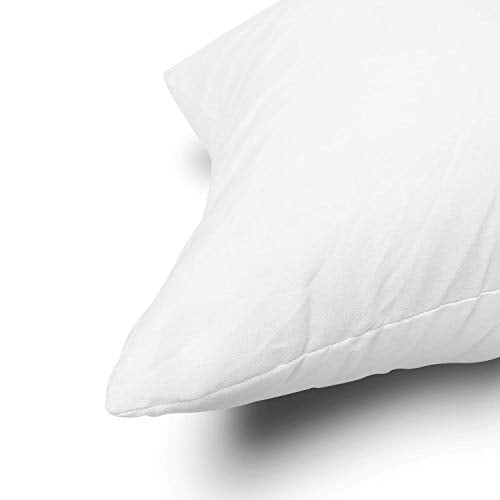 12x20 Inch Throw Pillow Inserts, Set of 2 Polyester Decorative Pillows