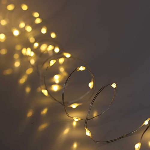 QBIS 40 Warm White Battery-Operated Fairy Lights, Silver Wire, 6.5ft - 1PK