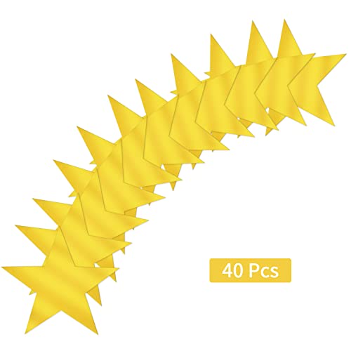 40 Pcs Metallic Gold Star Paper Cutouts for Party and Classroom Decor
