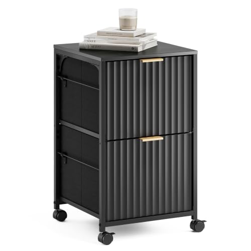 2-Drawer Mobile File Cabinet with Wheels for Under Desk Storage