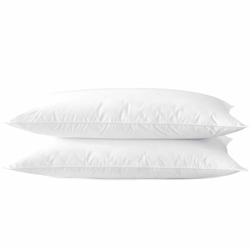 Acteb Ultra Thin Flat Bed Pillows Set of 2 - Soft Standard Size 20x26