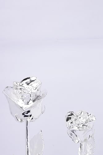 Silver Plated Dipped Handmade Rose Combo Set - 7 Inch & 11 Inch, THE GANCE ROSE