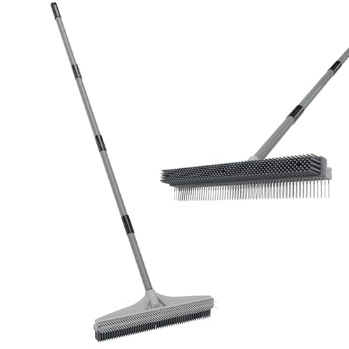 2-in-1 Carpet Rake & Pet Hair Removal Broom with Adjustable Handle