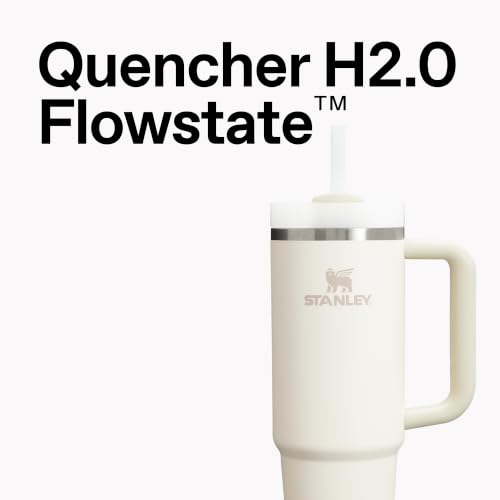 Insulated Stainless Steel Travel Tumbler 30 oz with Handle and Straw