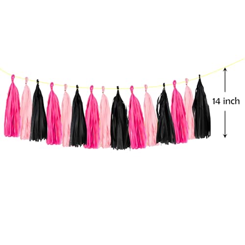 DIY Tissue Paper Tassel Garland Kit, 15-Piece Party Banner Decor
