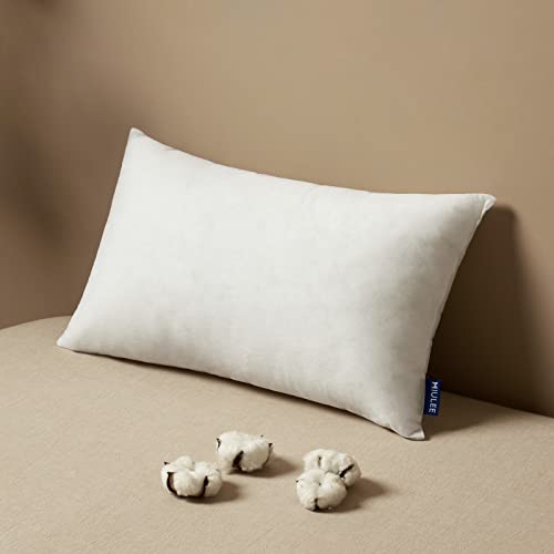 MIULEE 12x20 Inch Decorative Throw Pillow Insert for Couch & Bed
