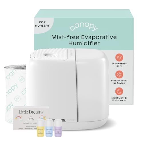 Bedside Humidifier 2.5L with Aroma Diffusion and Sleep Light