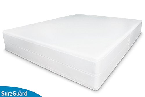 Twin Size Box Spring Encasement - Waterproof, Bed Bug Proof, Hypoallergenic