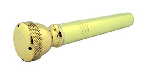High Polished Brass Aspergillum with Case - Pocket Holy Water Sprinkler