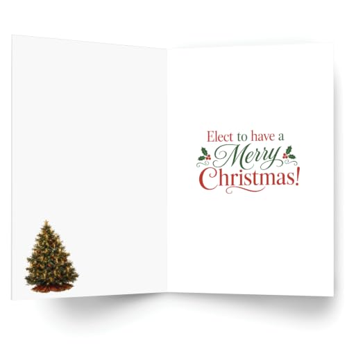 NobleWorks Funny Christmas Greeting Card Patriotic Constitution