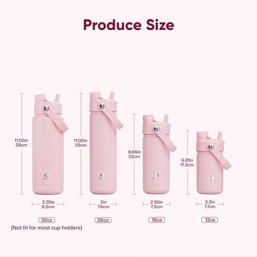 Insulated Stainless Steel Water Bottle with Straw Lid, 26 oz