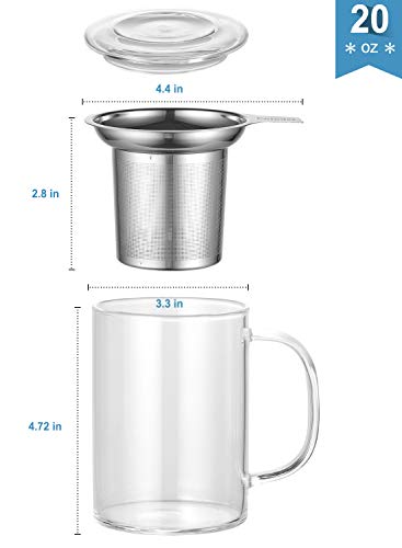 Enindel GM005 Glass Tea Mug with Infuser & Lid - 20 oz Clear Borosilicate Drinkware