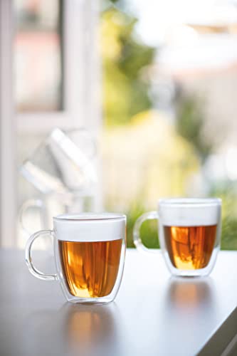 Bodum 15oz Bistro Double Wall Insulated Mug Set of 2, Clear Borosilicate Glass