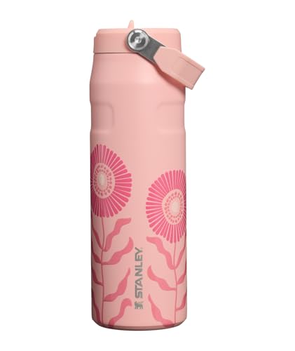 STANLEY IceFlow Flip Straw 2.0 Water Bottle 24 oz Insulated Stainless Steel