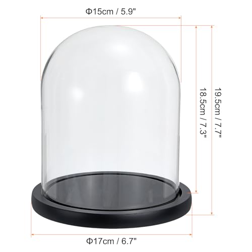 PATIKIL 7.3x5.9 Inch Clear Borosilicate Glass Cloche with Wooden Base for Home Decor and Display