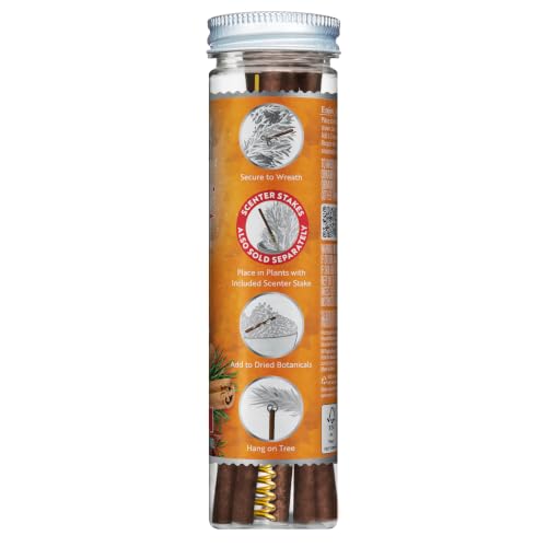 Spiced Pine Scented Christmas Tree Ornament Sticks, 12-Pack with Hooks