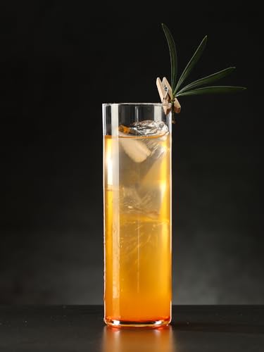 Cocktail Geek 6pcs 12oz Collins Glass Set - Clear Tall Drinking Glasses for Cocktails & Beverages