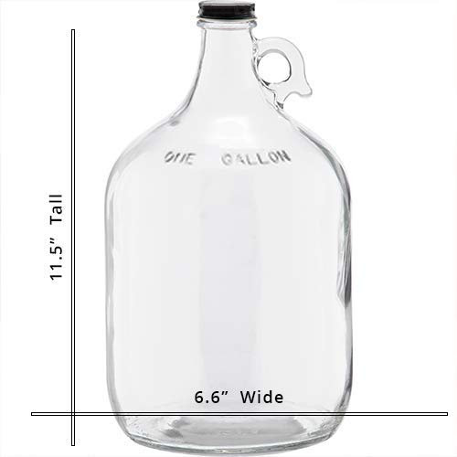 1 Gallon Glass Jug with 6 Pack 16oz Amber Flip-Top Beverage Growlers