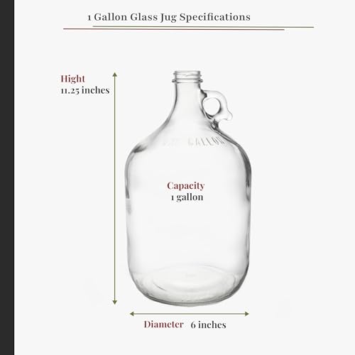 1 Gallon Glass Fermenting Jug with Air Lock and Rubber Stopper