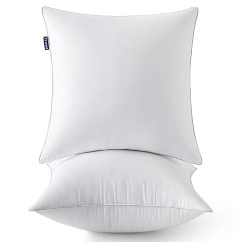 20x20 Inch Throw Pillow Inserts - Set of 2 Cotton Decorative Couch Pillows