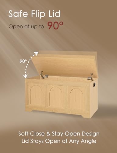 Wooden Storage Chest & Shoe Bench, 39.4-inch Lift-Top Trunk with Safety Hinges
