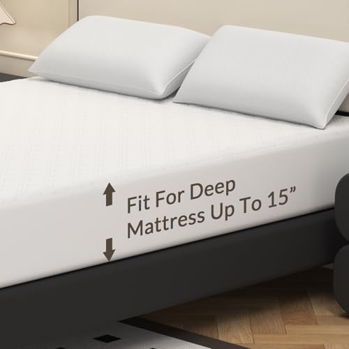 Queen Heated Mattress Pad with Dual Control & 10 Heat Levels