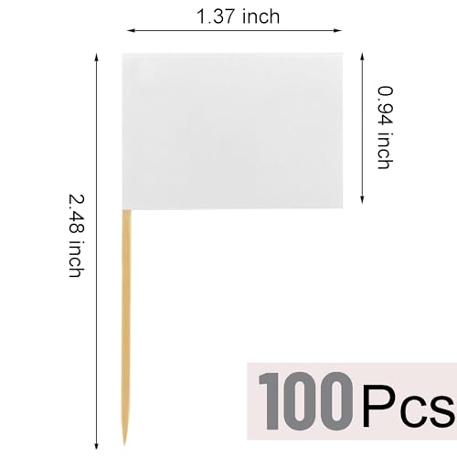 MTRSOCHO White Blank Toothpick Flags 100 Pack for Food Labeling & Party Decor