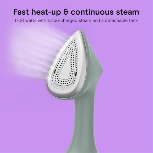 2-in-1 Fabric Steamer and Iron, 1700W Garment Steamer with Aluminum Soleplate