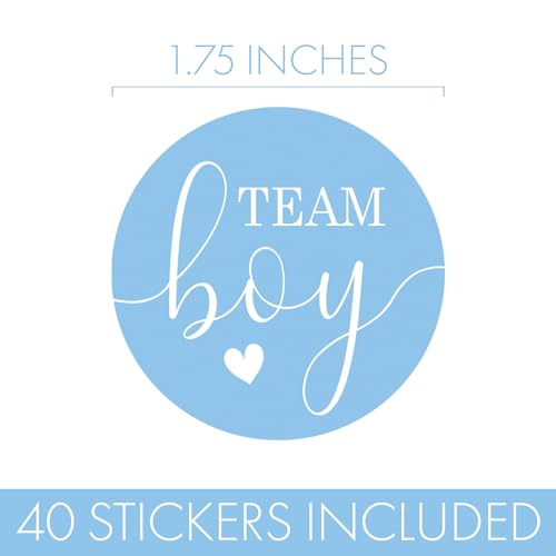 Pink & Blue Gender Reveal Stickers 40 Count – Team Boy & Girl Voting Decals for Party