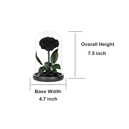 Preserved Black Rose in Glass Dome with Wooden Base - Handmade Gift