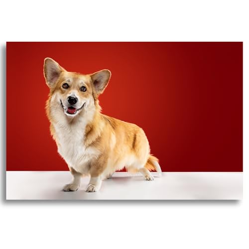 Custom Matte Photo Prints - 3.5x5 inches, Premium Quality