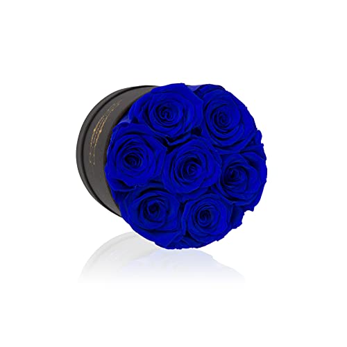 7 Piece Preserved Royal Blue Roses in a Box - Long-Lasting Floral Gift