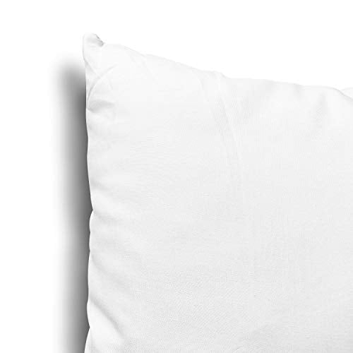 EDOW Throw Pillow Inserts 18x18 Set of 2 Polyester Couch Cushion Stuffers