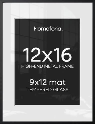 Homeforia Black Metal Picture Frame 12x16 with 9x12 Mat and Tempered Glass