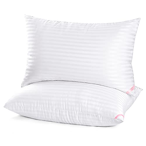 EIUE Hotel Collection Queen Bed Pillows 2 Pack - Soft Down Alternative