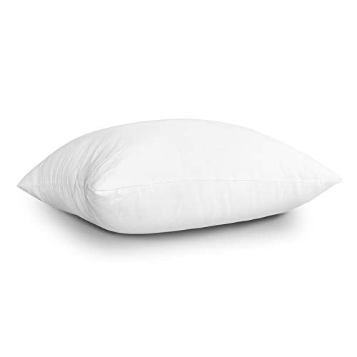 EDOW Throw Pillow Inserts 18x18 Set of 2 Polyester Couch Cushion Stuffers