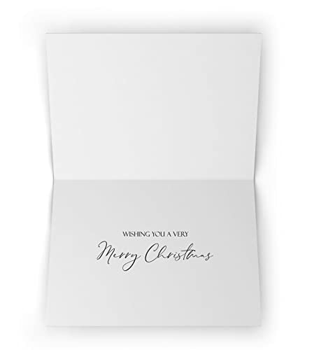 Snowing Nativity Christmas Card Pack of 24 Religious Holiday Greeting Cards