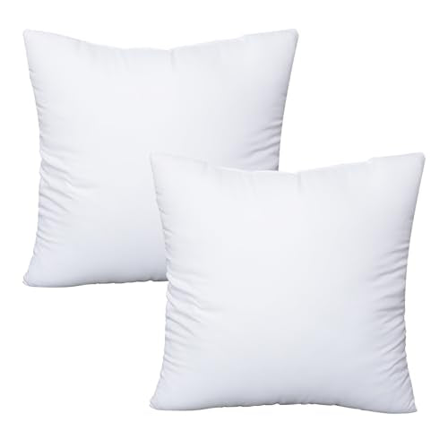 OKBA 22x22 Throw Pillow Inserts Set of 2, 100% Cotton Cover White Decorative