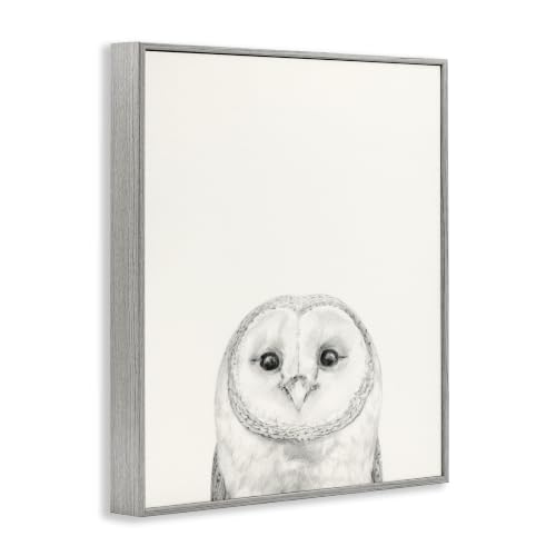 Owl Wall Art Framed Canvas - Grey Bird Portrait for Living Room Decor