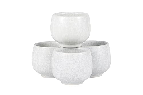 Urban Tokyo White Japanese Plum Blossom Sake Set 9.5oz Bottle & 4 Cups