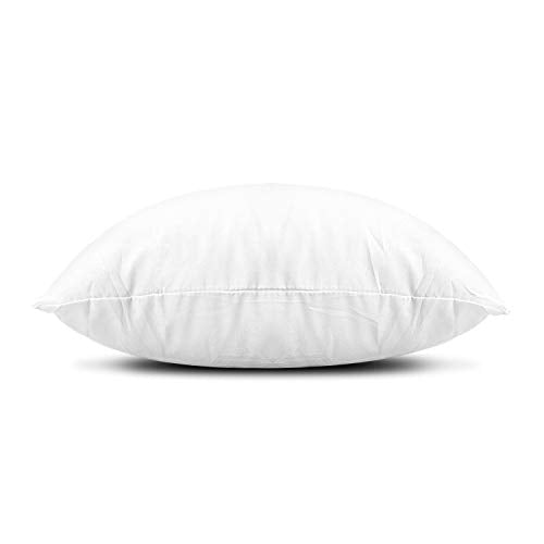 EDOW Throw Pillow Inserts 18x18 Set of 2 Polyester Couch Cushion Stuffers