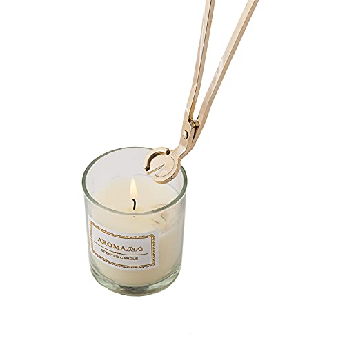 Candle Wick Trimmer Set - Long Handle Stainless Steel Cutter