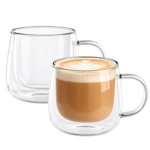 Set of 2 Double Wall Glass Coffee Mugs 10 oz with Handle - RDLBBS