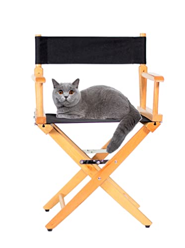 Junior Director's Chair - 15.5-Inch Seat Height Beech Wood Studio Chair
