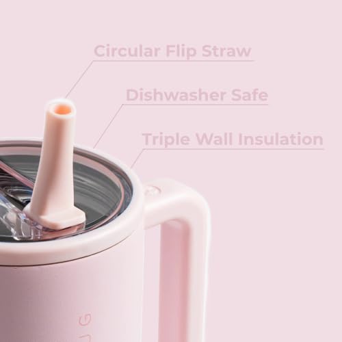 HydroJug Traveler 32oz Insulated Water Bottle with Handle & Straw - Pink Sand