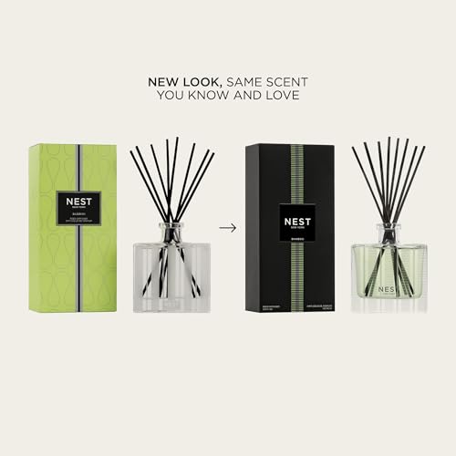 Bamboo Reed Diffuser Set - 5.9 fl oz Glass Vessel with 8 Natural Sticks