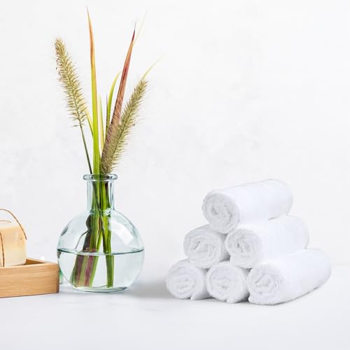 Amazon Basics Fast Drying Cotton Washcloths 12x12 White 24-Pack